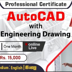 Professional Certificate in AutoCAD - Live Class