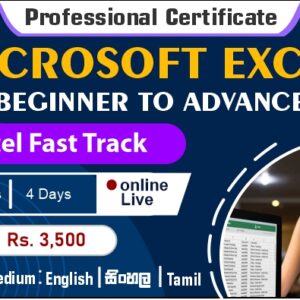 Professional Certificate in Microsoft Excel Beginner to Advance - Live Class