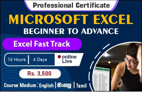 Professional Certificate in Microsoft Excel Beginner to Advance - Live Class